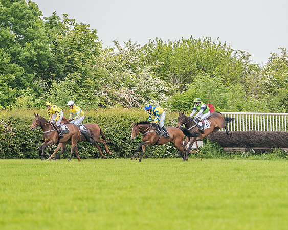 Race 1 - Hunt Members (50 of 126).jpg