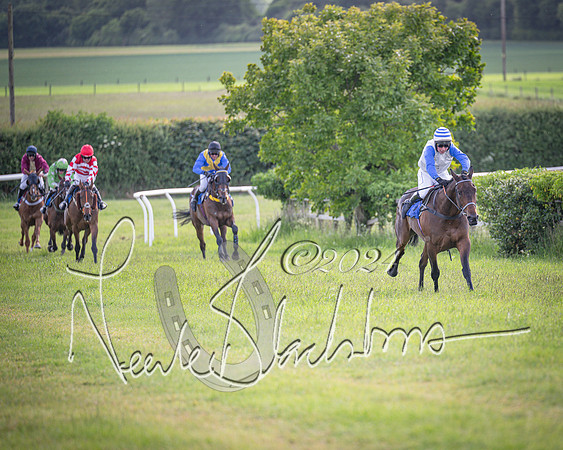 Race 6 - Thorn Plant Hire Maiden Race (83 of 129)