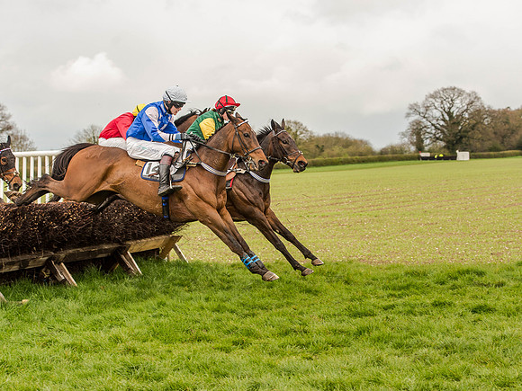 Race 1 - Confined Hunts (72 of 118).jpg