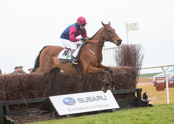 Race 7 - PPORA Novice Riders-56