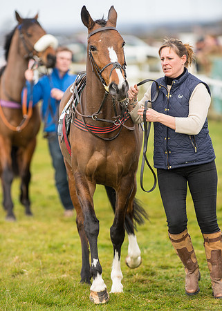 Pony Race 2 - 148cm -3