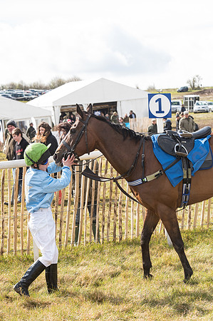 Pony Race 2 - 148cm  (44 of 49).jpg