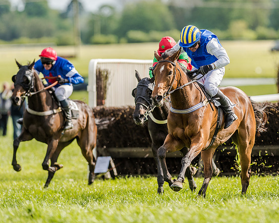 Race 5 - Division 2 - Restricted Race (68 of 105).jpg