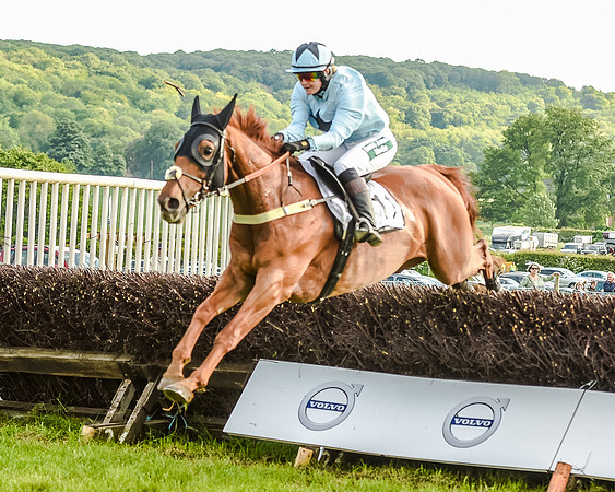 Race 7 - Div 2 - Open Maiden (112 of 163).jpg