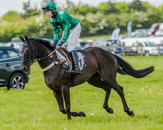 Race 4 - PPORA Novice Riders (63 of 196).jpg