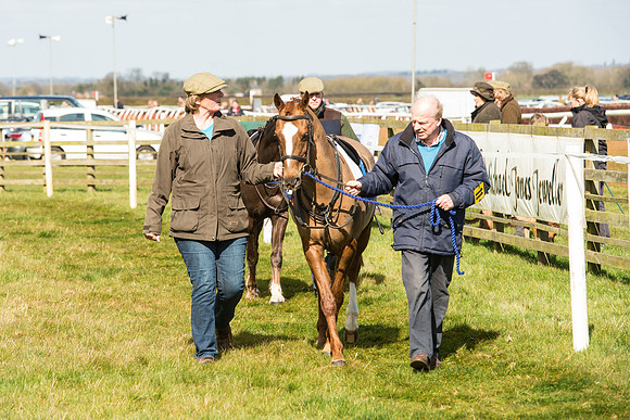 Pony Race 1 - 138cm -40