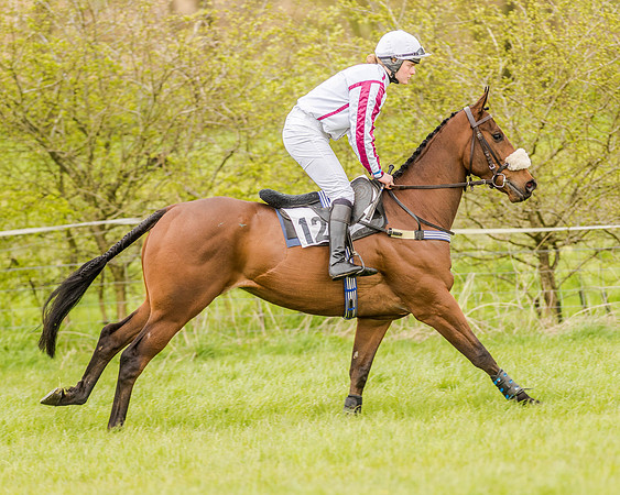 Race 2 - Open Maiden  (63 of 170).jpg