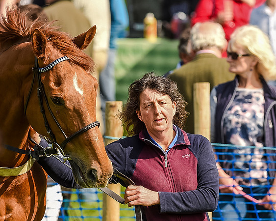 Race 5 - The Ladies Open  (21 of 133).jpg