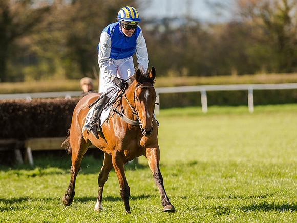 Race 6 - The Open Maiden (43 of 122).jpg