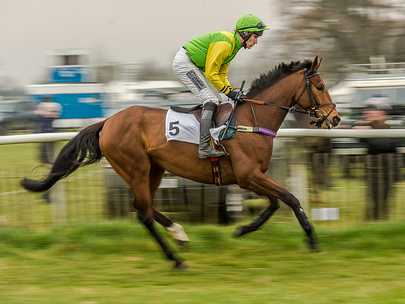 Race 5 - Open Maiden Division 2 (36 of 112).jpg