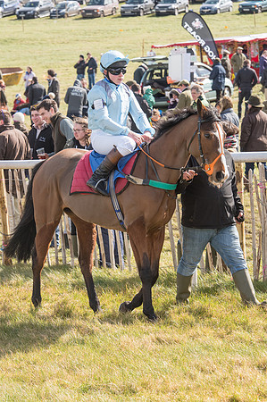 Pony Race 2 - 148cm  (2 of 49).jpg