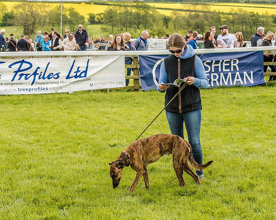 Race 1 - Hunt Members (68 of 87).jpg