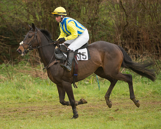 Race 5 - Open Maiden (44 of 147).jpg