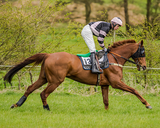Race 7 - PPORA Members Conditions (45 of 192)