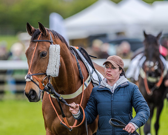 Race 4 - PPORA Novice Riders (10 of 151).jpg