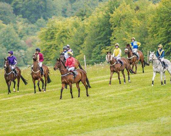 Race 2 - PPORA Members Novice Riders  (25 of 112).jpg