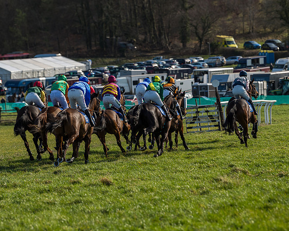Race 1 - Open Maiden Division 1 (80 of 170)