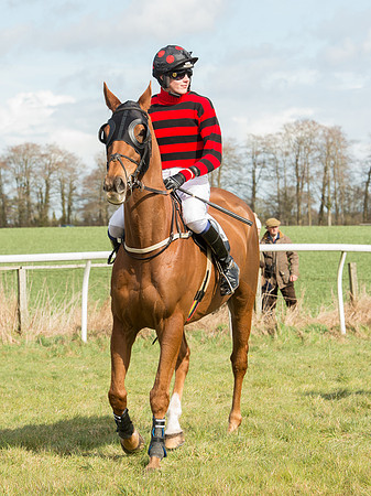 Race 2 - Confined Hunts Race (30 of 87).jpg