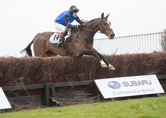 Race 7 - PPORA Novice Riders-61