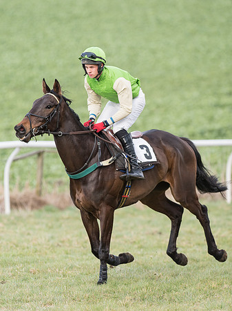 Race 6 - Open Maiden (27 of 110).jpg