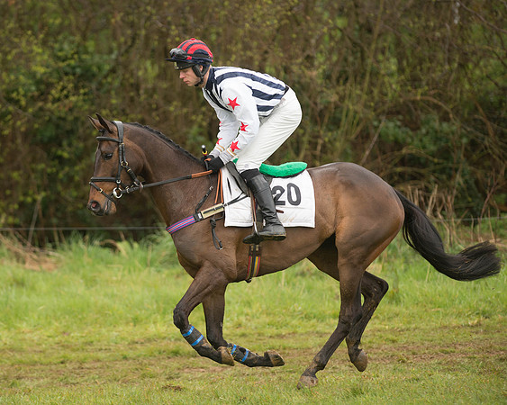 Race 5 - Open Maiden (54 of 147).jpg