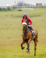 Race 2 - Open Maiden Race (17 of 80).jpg