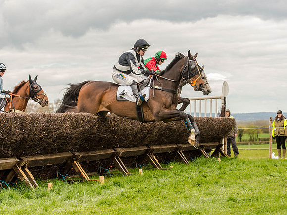 Race 3 - Young Horse maiden 2m5f (63 of 124).jpg