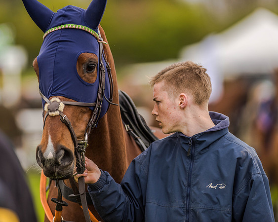 Race 2 - Open Maiden  (8 of 170).jpg
