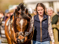 Race 5 - Mens Open [Nov-Vet] (15 of 68).jpg