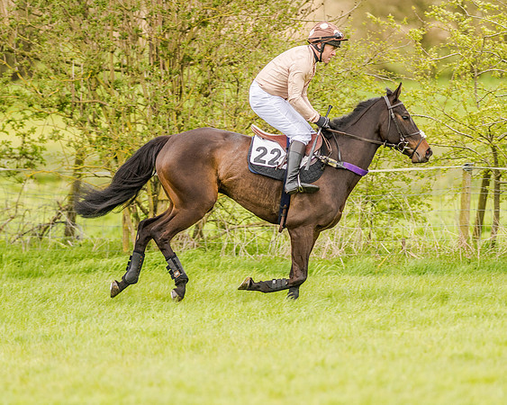 Race 2 - Open Maiden  (39 of 170).jpg