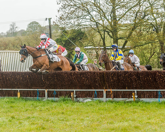 Race 5 - Restricted Race (50 of 146).jpg