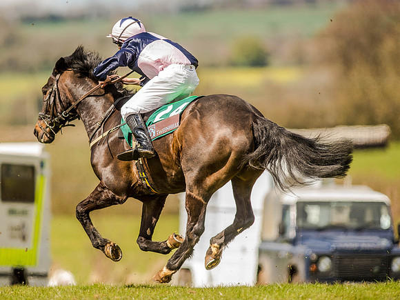 Pony Races (124 of 127).jpg