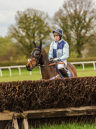 Race 1 - Confined Hunts (41 of 118).jpg