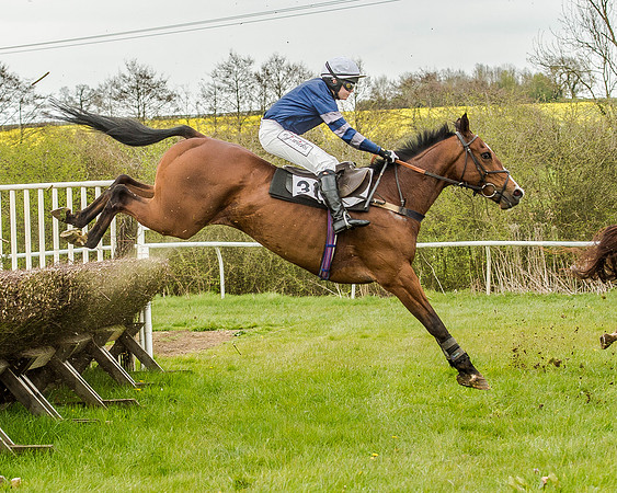 Race 2 - Open Maiden  (84 of 170).jpg