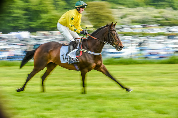 Race 3 - The Intermediate Race (23 of 97).jpg