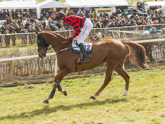 Race 2 - Confined Hunts Race (23 of 87).jpg