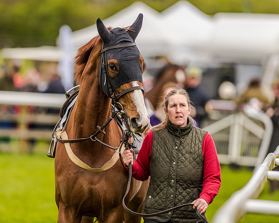Race 2 - Open Maiden  (25 of 170).jpg
