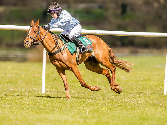 Pony Races (62 of 127).jpg