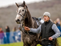Race 3 - Young Horse maiden 2m5f (10 of 124).jpg
