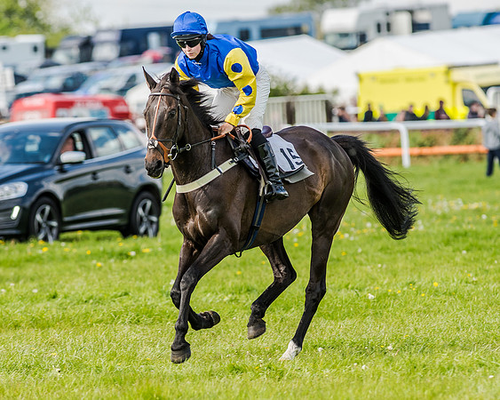 Race 4 - PPORA Novice Riders (57 of 196).jpg
