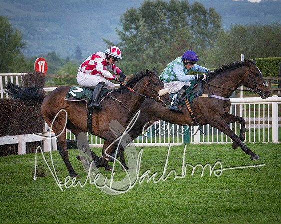 Race - 7 The Royal Gloucester Hussars Open Hunter's steeplechase 2m4f 127y (117 of 210)