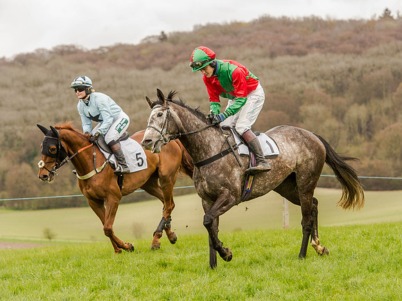 Race 3 - Young Horse maiden 2m5f (52 of 124).jpg