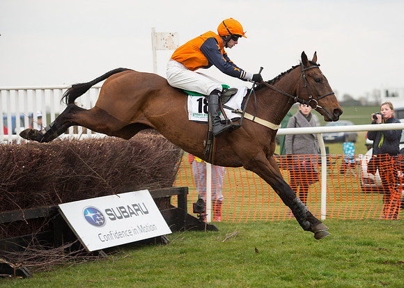Race 6 - Confined Hunts-80
