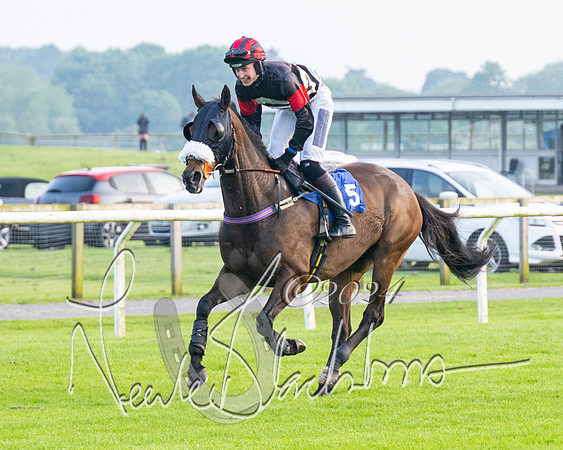 Race 5 - Peter Wright Handicap (26 of 117)