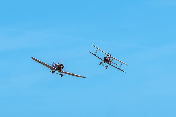 Great War Display Team (15 of 22)