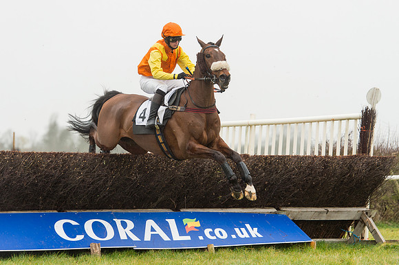 Race 1 - Confined Hunts (49 of 101).jpg