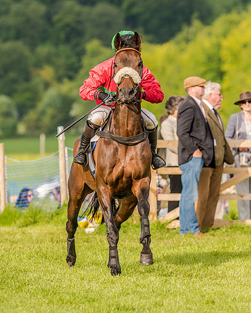 Race 7 - Div 2 - Open Maiden (44 of 163).jpg