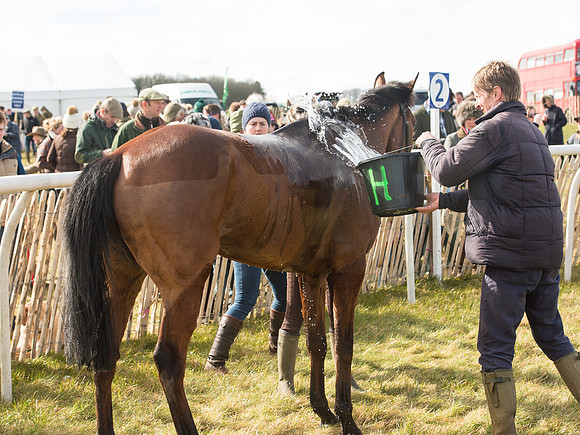 Race 2 - Confined Hunts Race (75 of 87).jpg