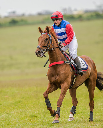 Race 2 - Open Maiden Race (11 of 80).jpg