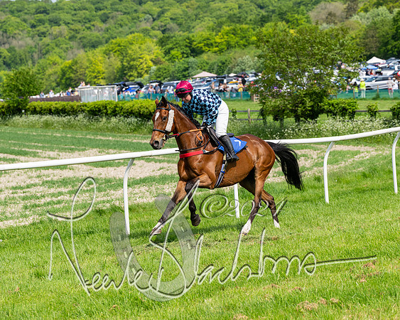 Race 3 - Ladies Open  (40 of 133)